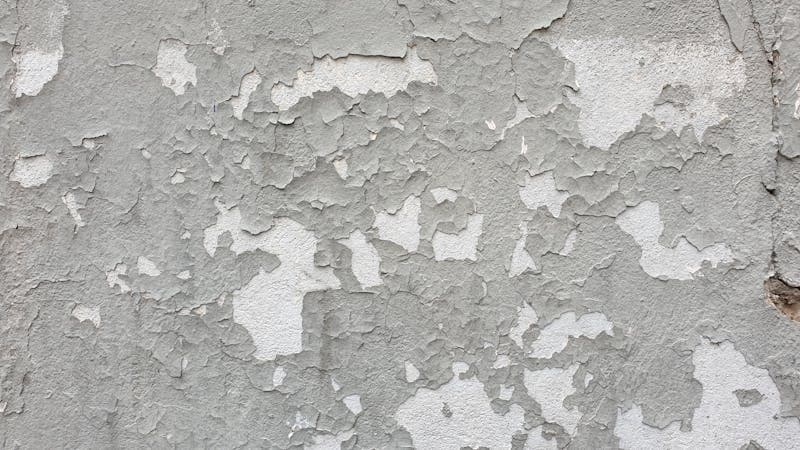 Crawl Space Mold Treatment